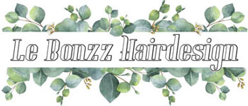 Lebonzz Hair Design Logo
